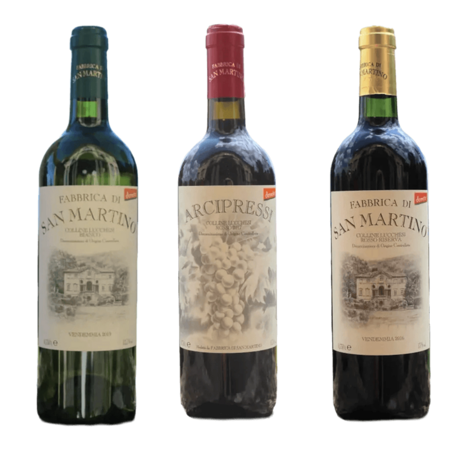 Bio und Demeter-Degustationsset von Fabbrica di San Martino aus Lucca