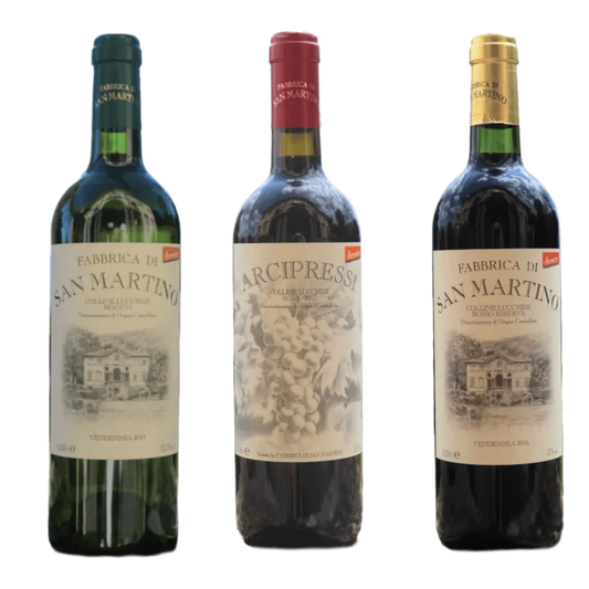 Bio und Demeter-Degustationsset von Fabbrica di San Martino aus Lucca